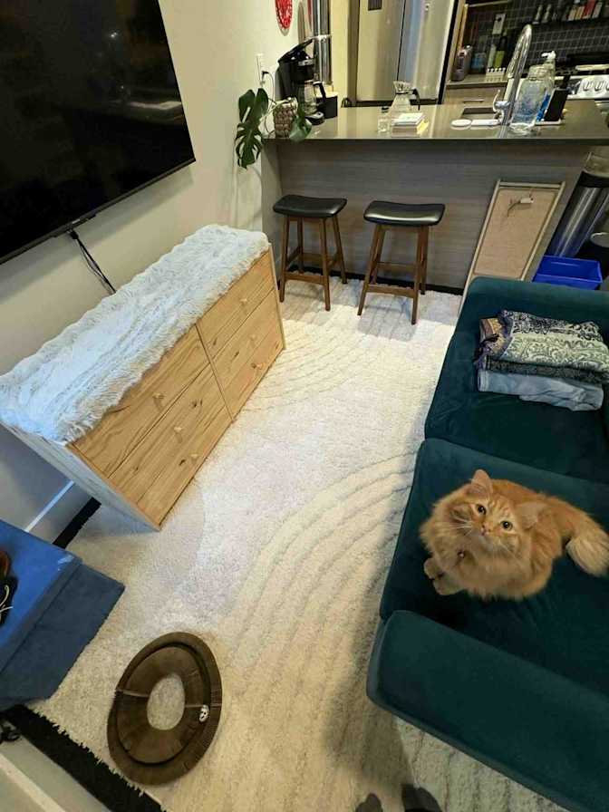 JV's room