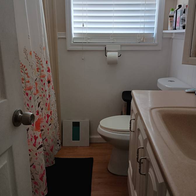 Leslie's room