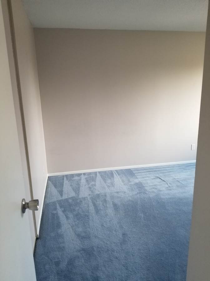 Abi's room
