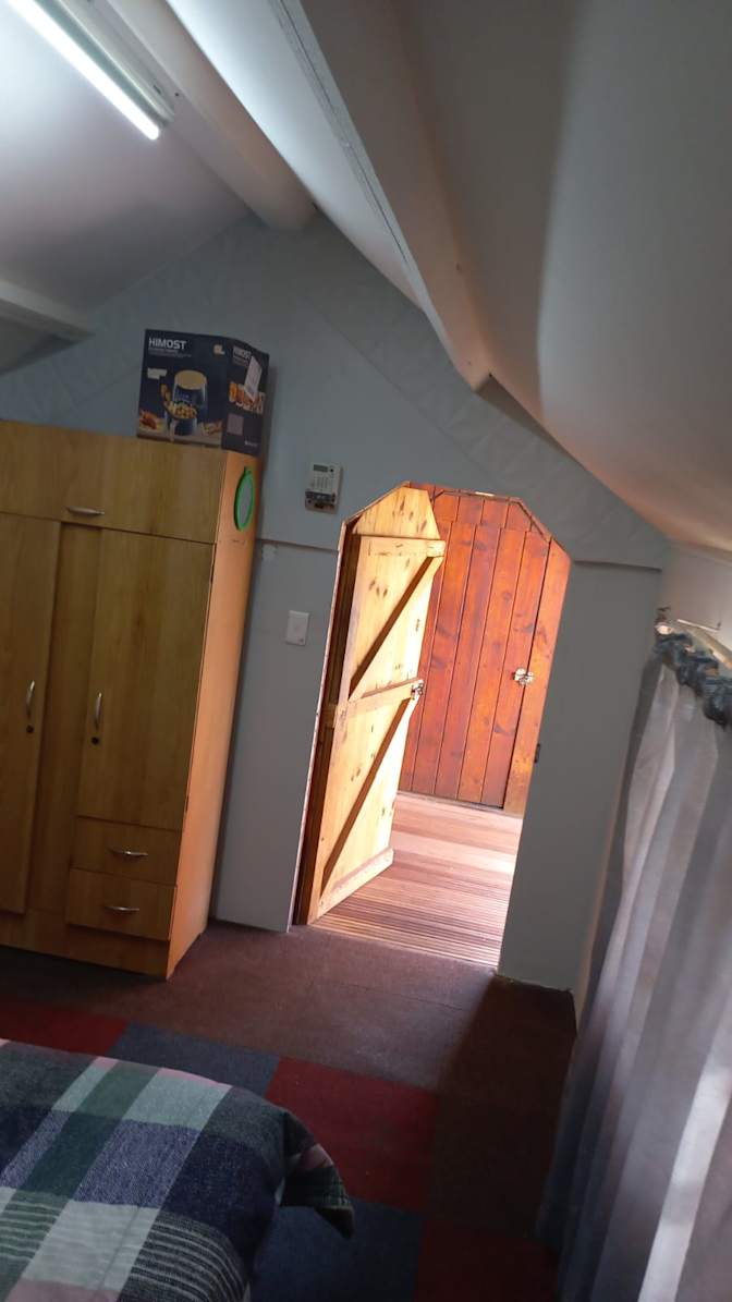 Willows on Bartlett's room