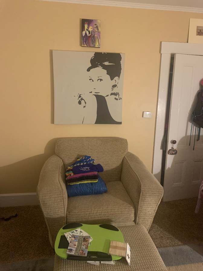 Cat's room