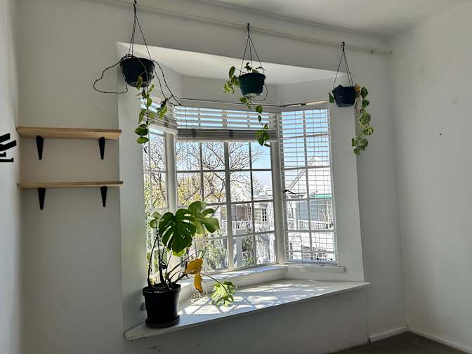 Josh's room