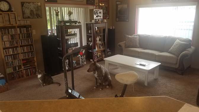 Scott's room