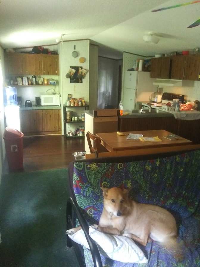 Randy's room