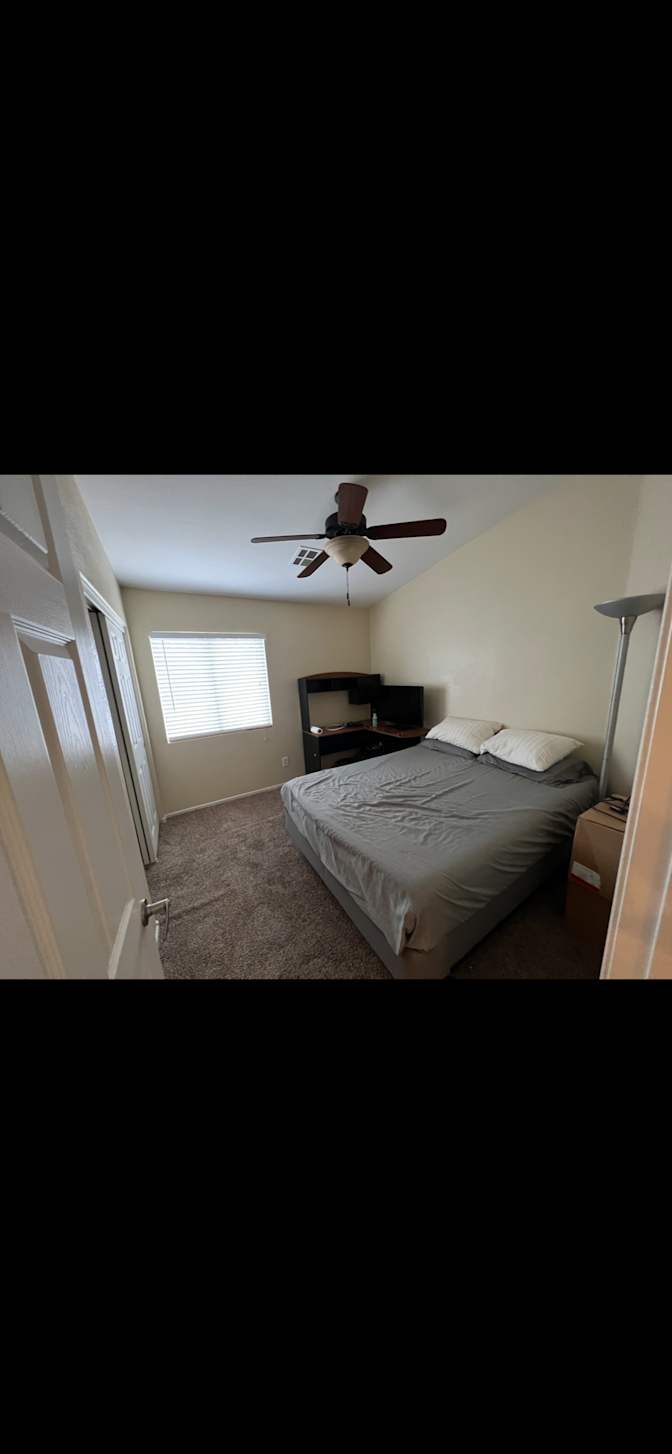 Matt's room