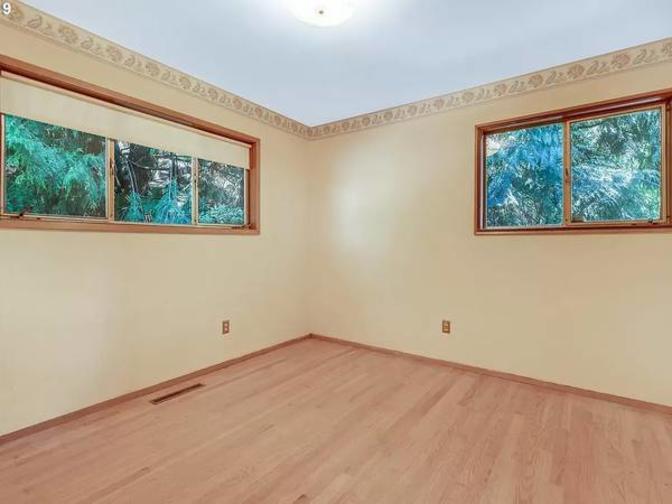 Link's room
