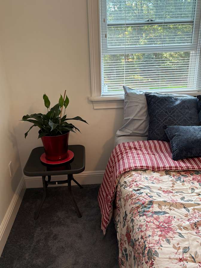 Anna's room