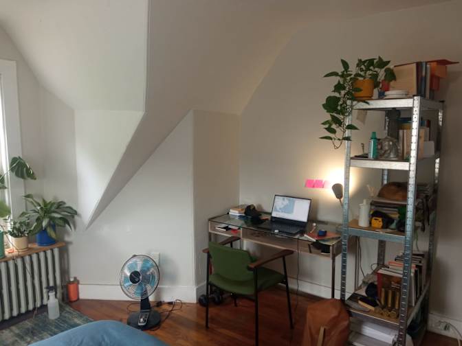 Wilkins's room