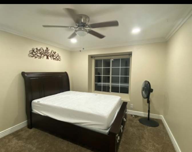 Pat's room