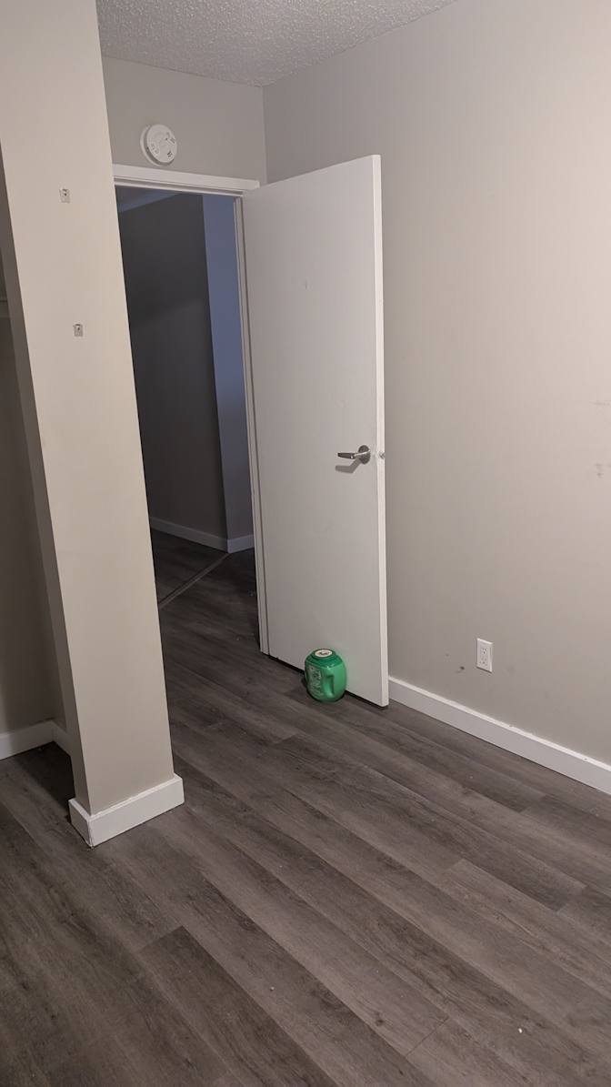 Jamie's room