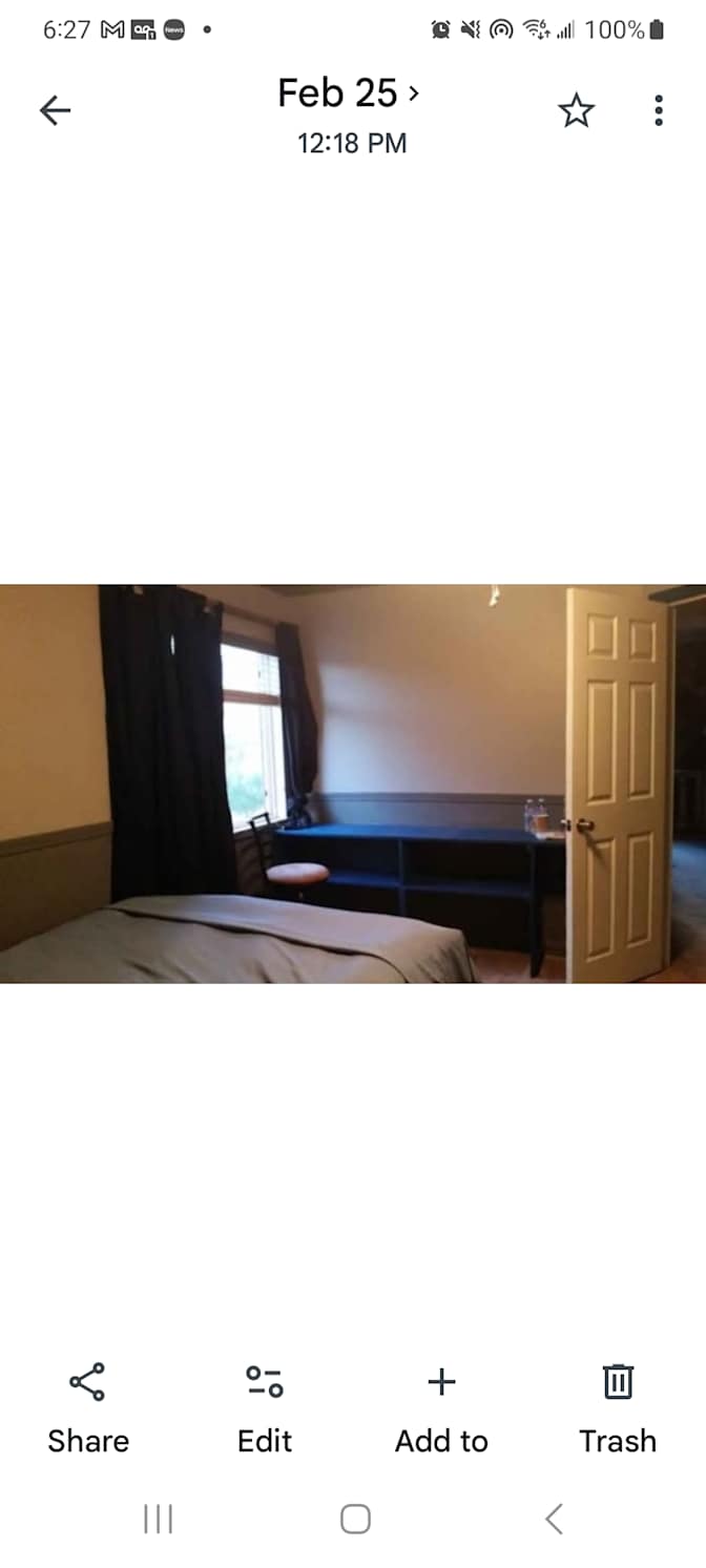 Bear's room