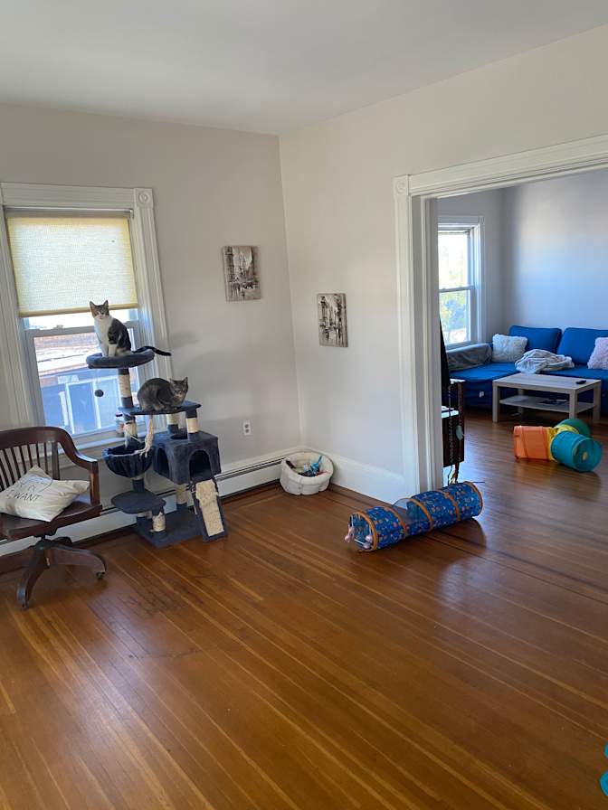 Corinna's room