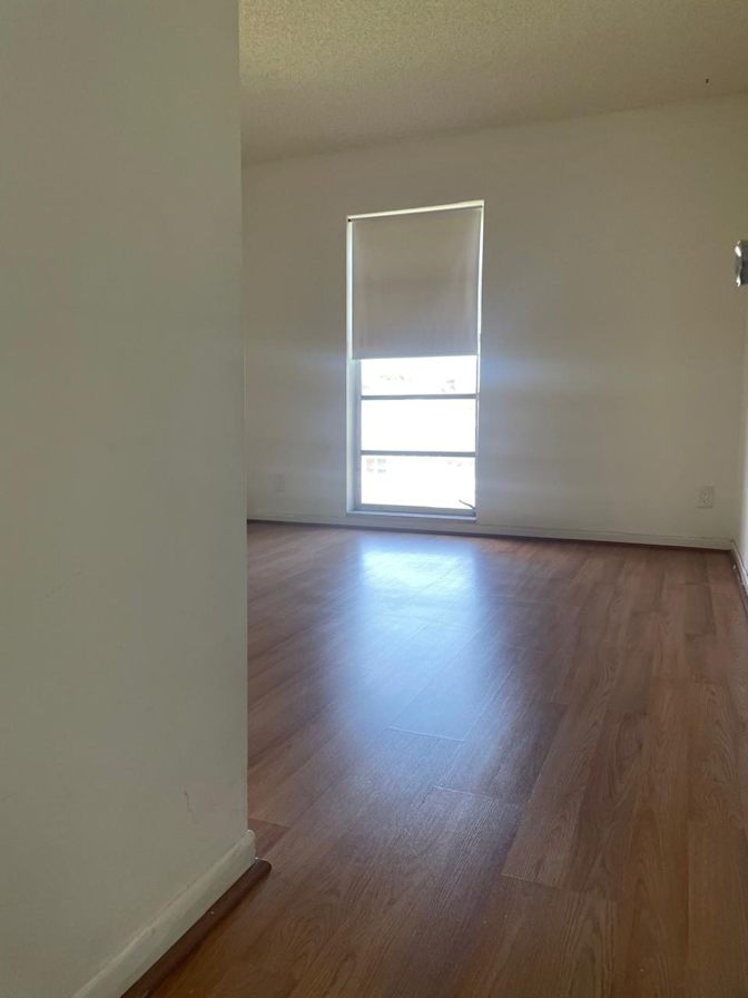 Paola's room
