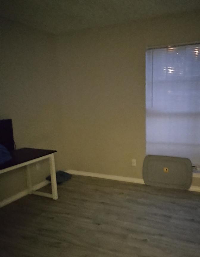 Teddy's room