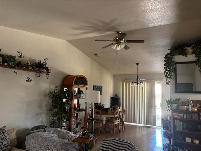 Laura's room