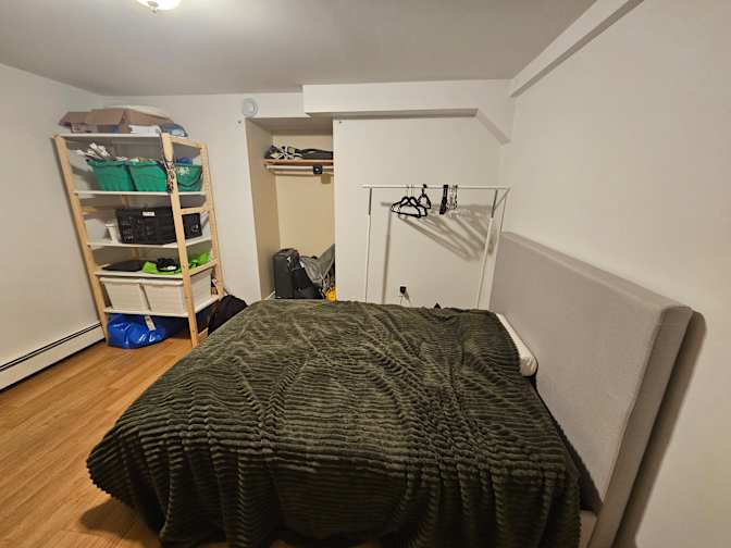 Dove's room