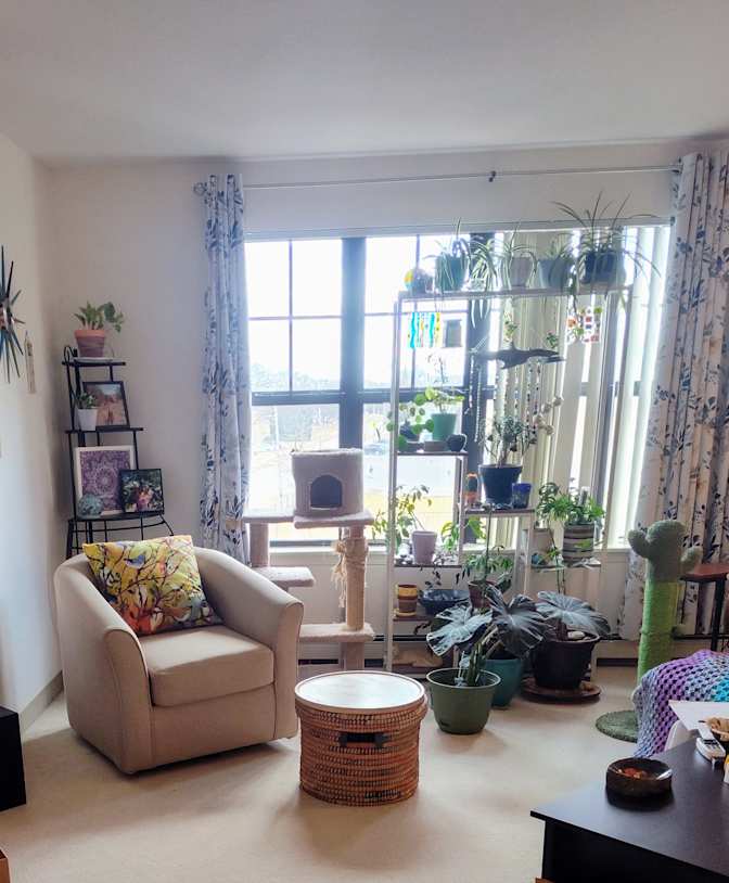 LouAnn's room