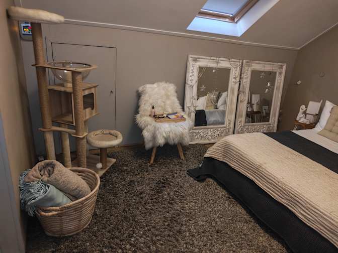 Madelein Livanos's room
