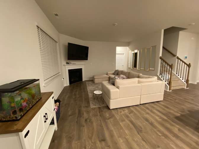 Taz's room