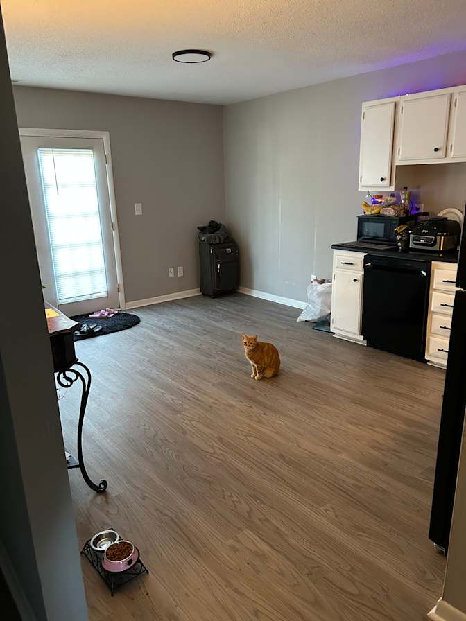 Amanda's room