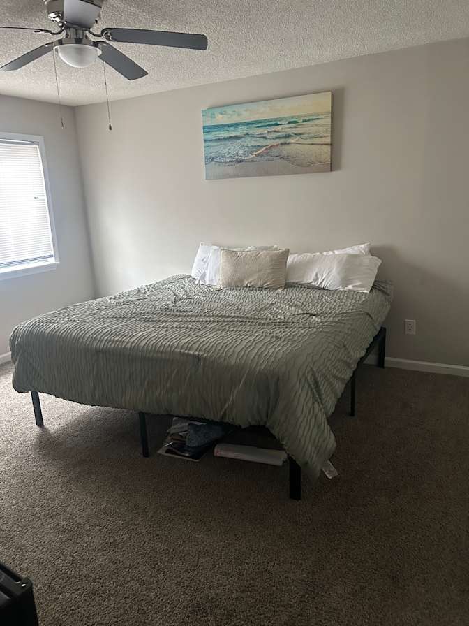 Dominique's room