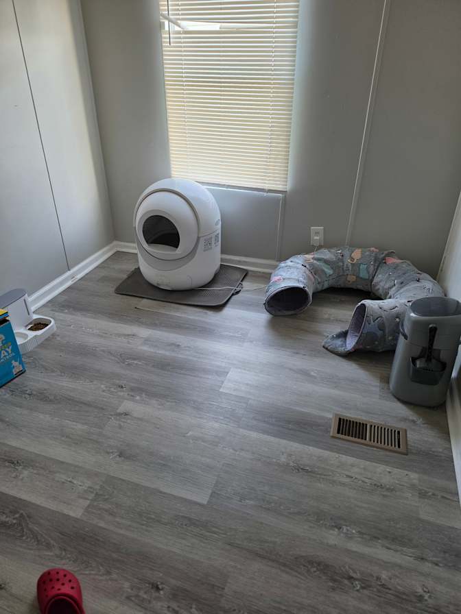 Rosanne donadio's room