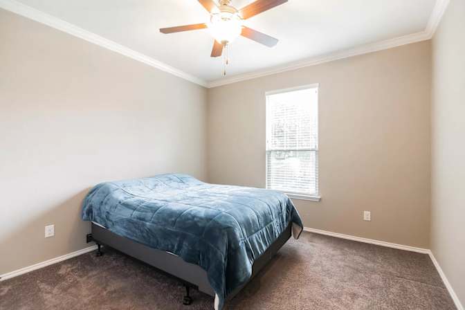 Alex's room