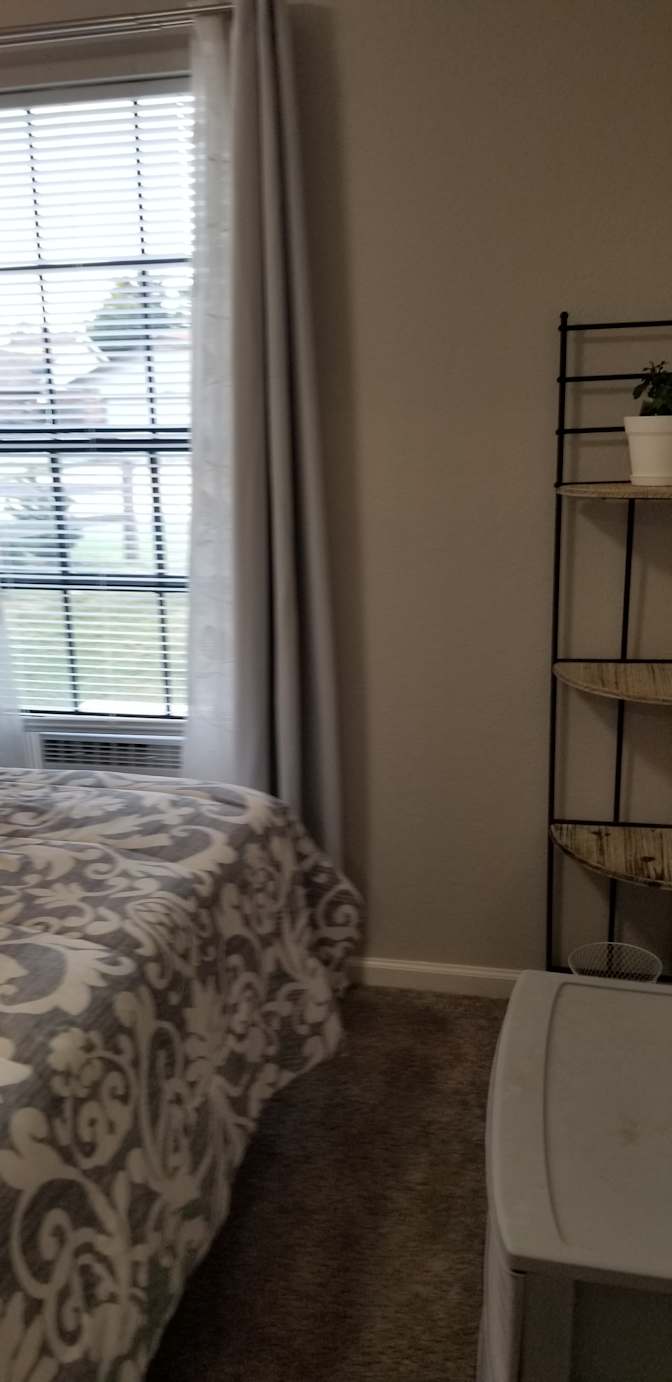 Cindy's room