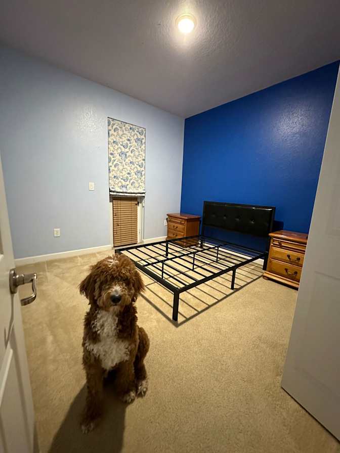 Cess's room