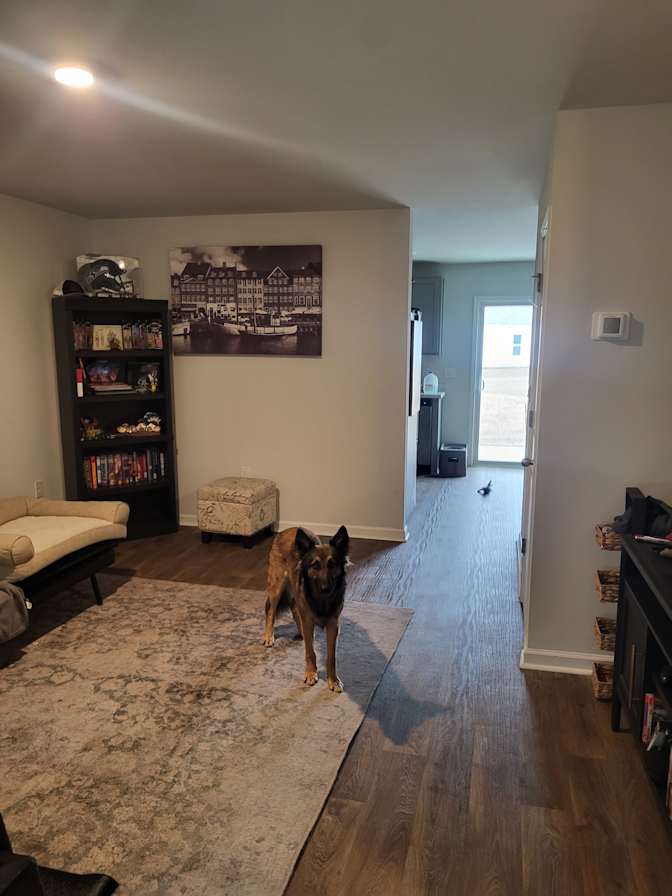 Zachary's room