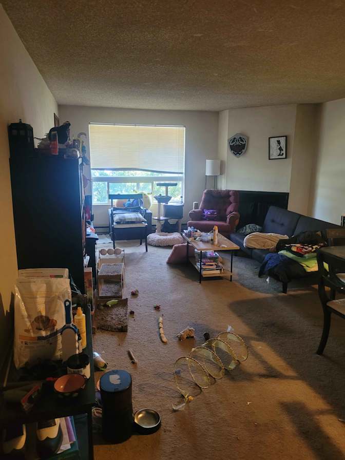 Adryan Bartlett's room