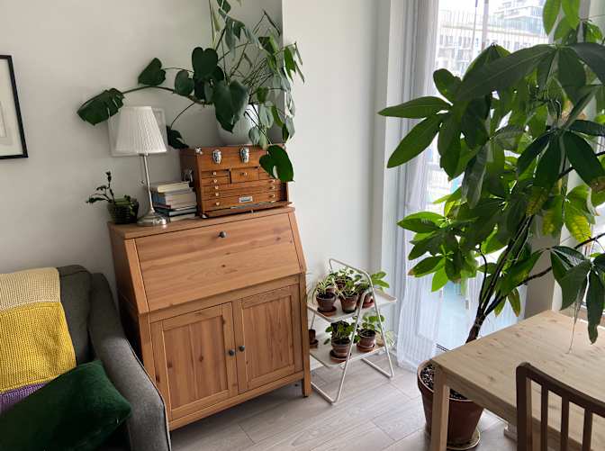 Ann's room