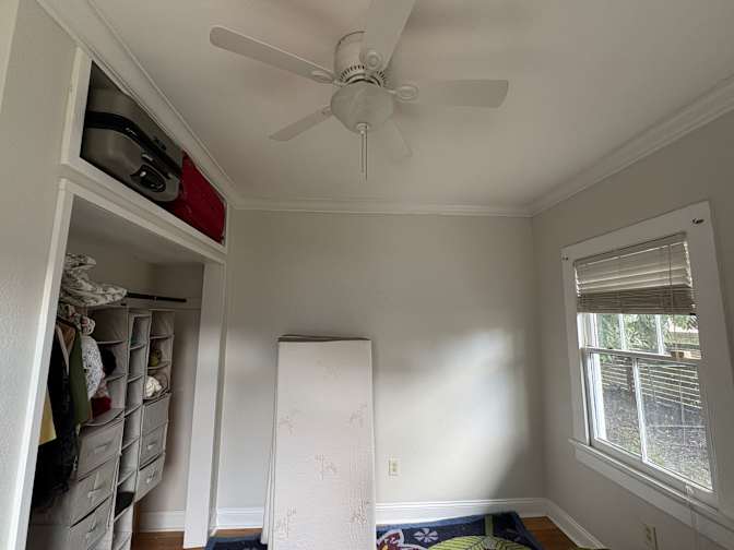 Fi's room