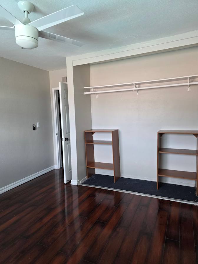 any mitchell torres cisneros's room