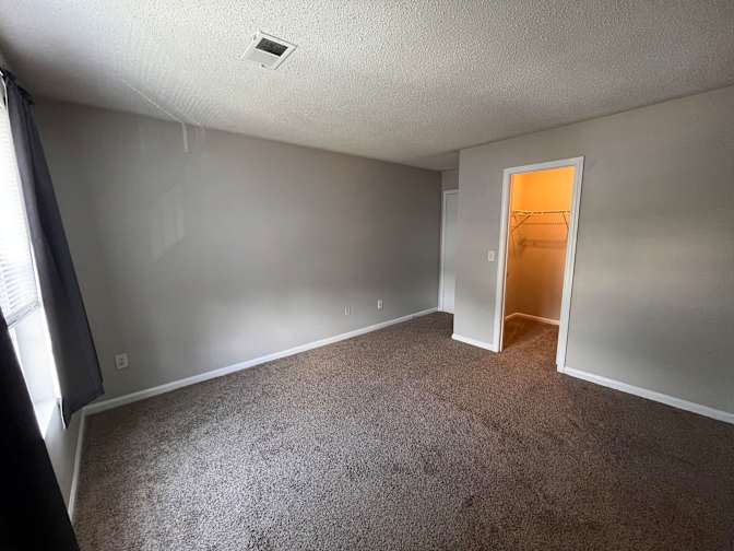 Sophia's room