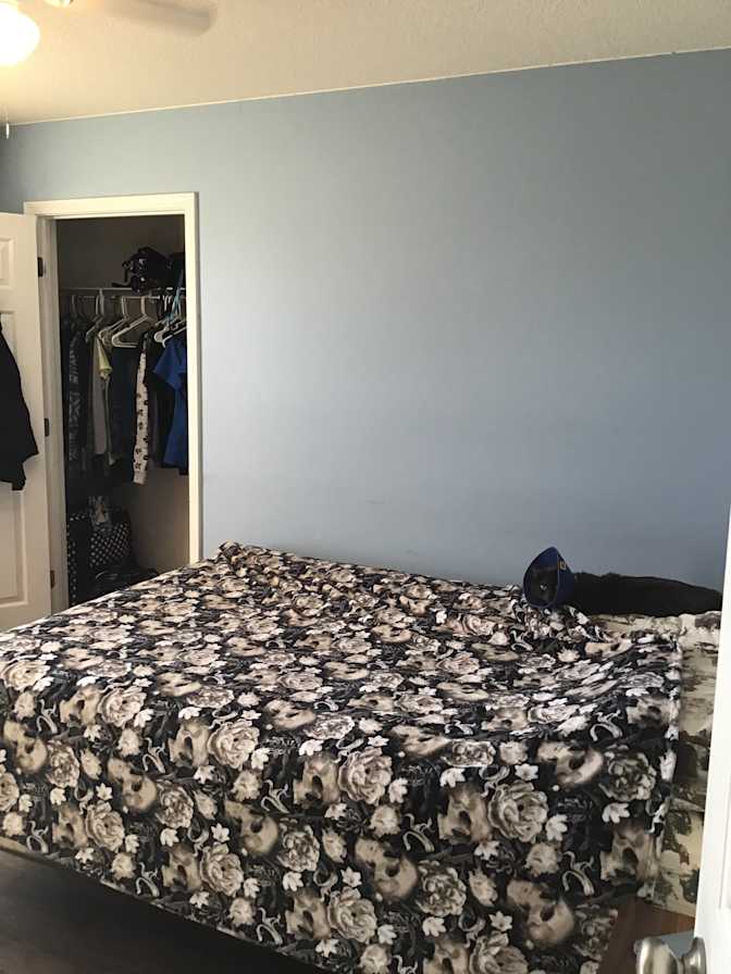 Wayne Graves's room