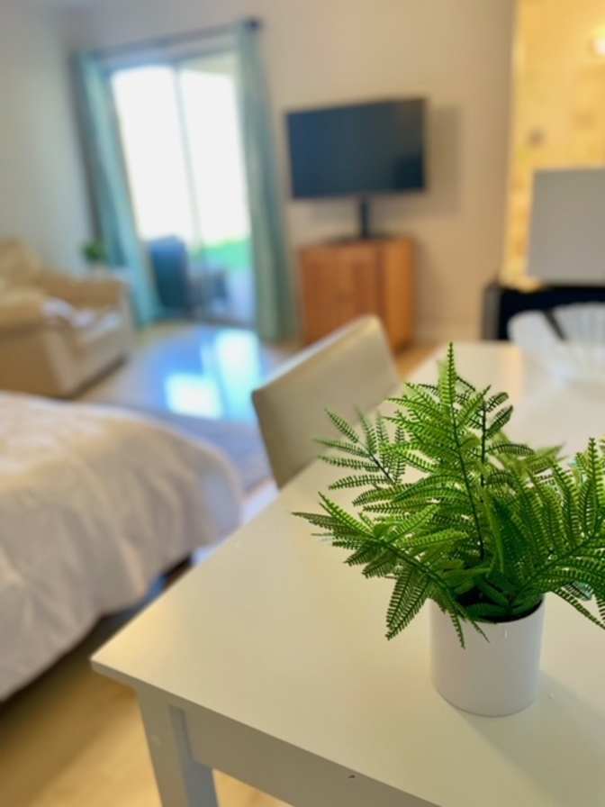 Jacqueline's room