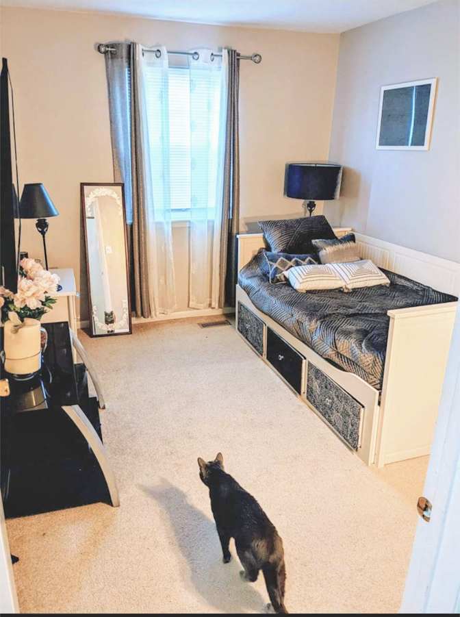 Svetlana's room