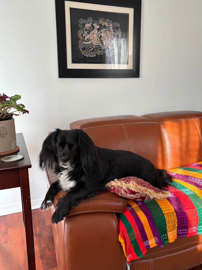 Veronica Keaney's room