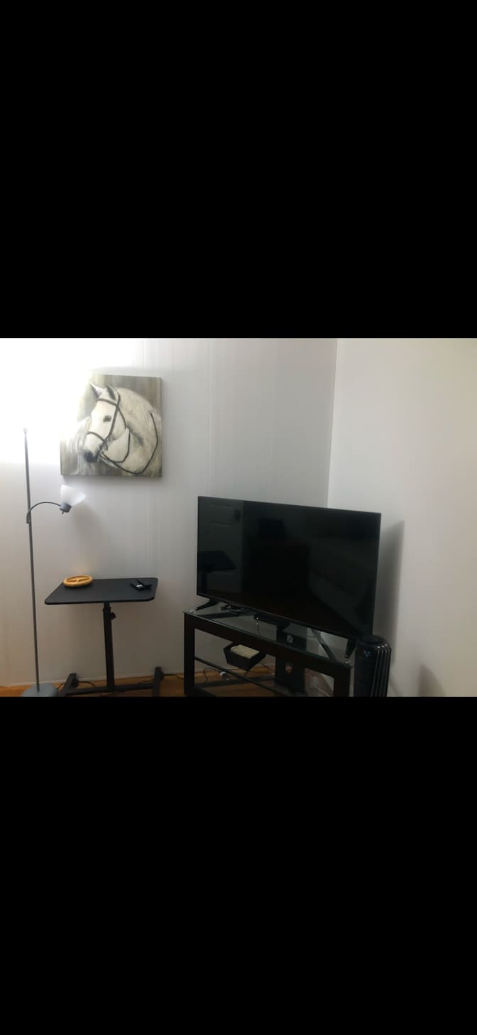 Fully Furnished's room