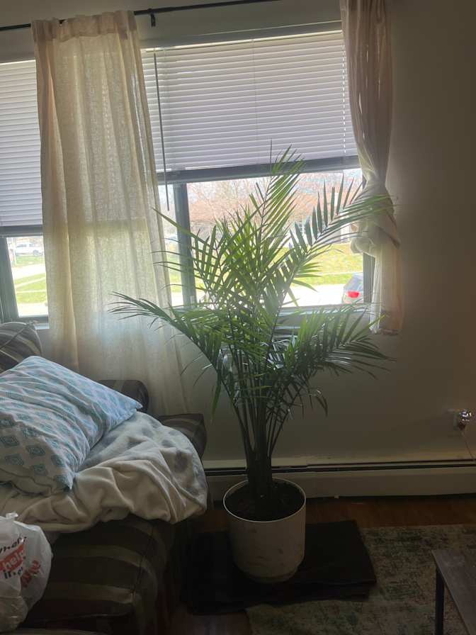 Erika's room