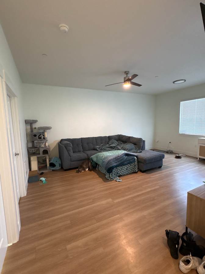 Sophie's room
