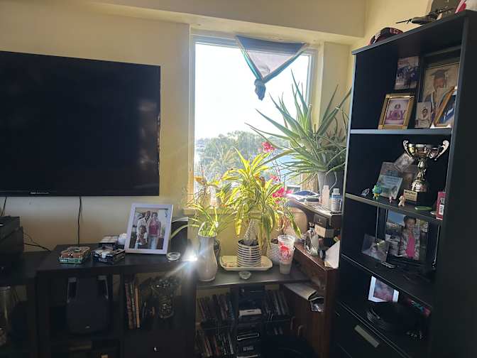 Chin's room