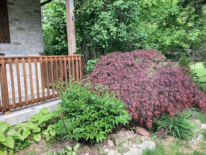 Jeffrey Pommer's room