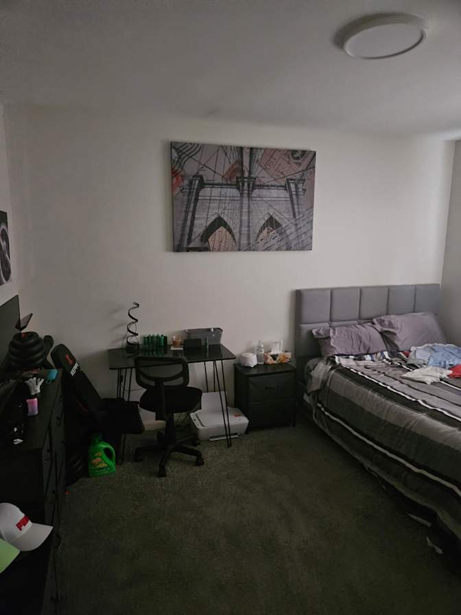 Avi's room