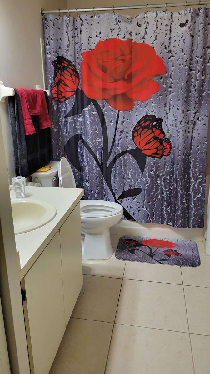 Mary's room