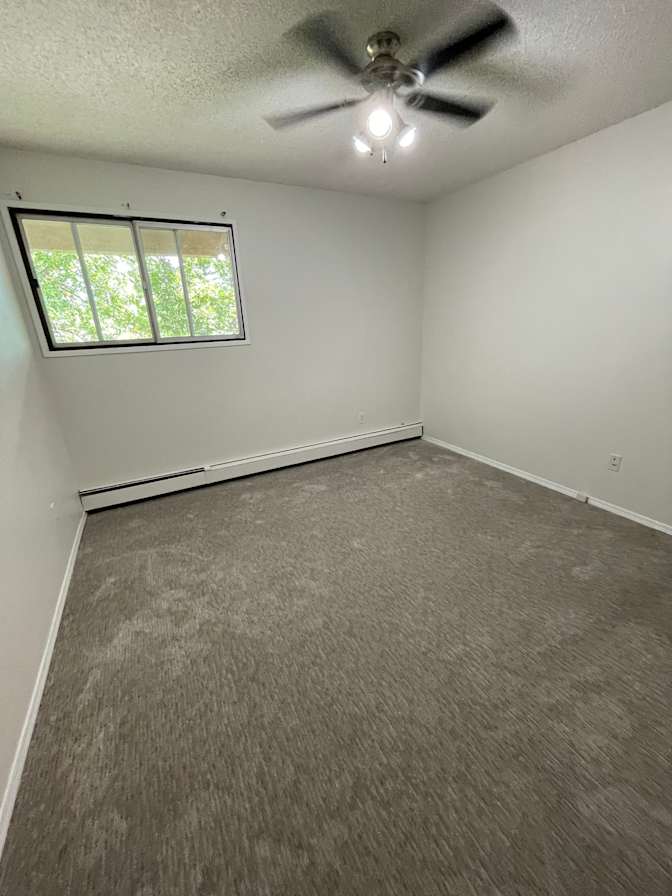 Jana Dut's room