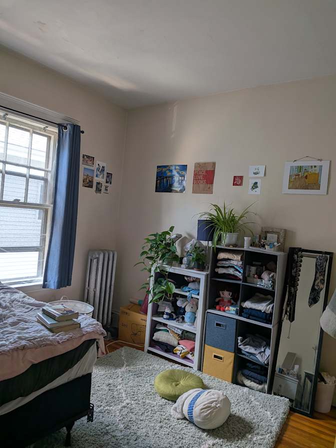 Zev's room