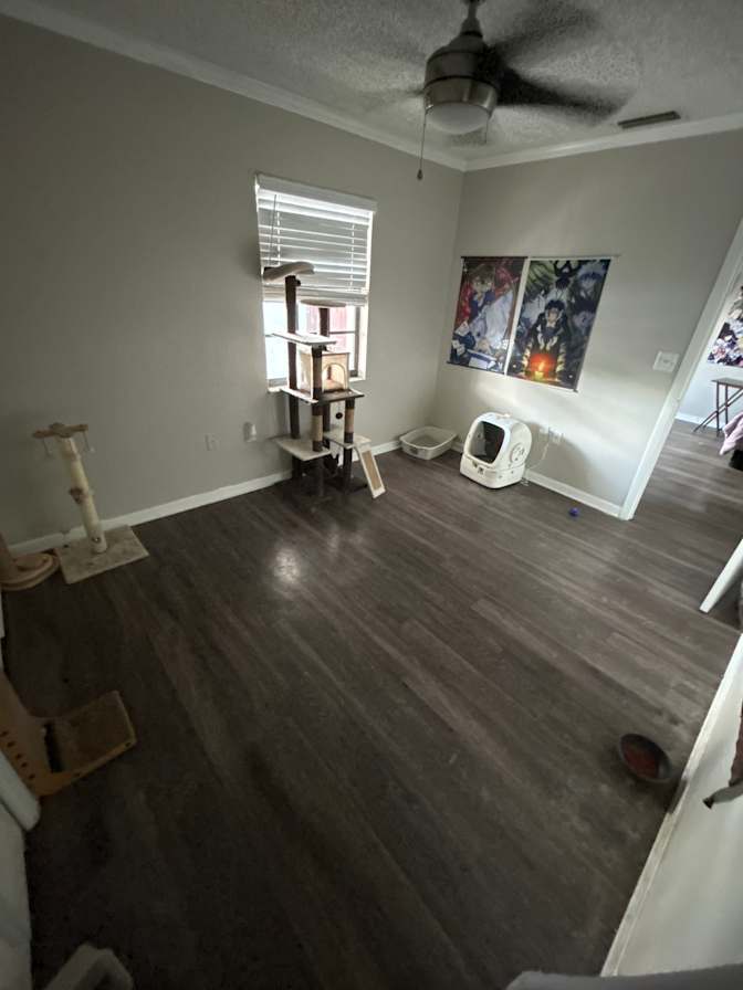 Cheyleen Anez martinez's room