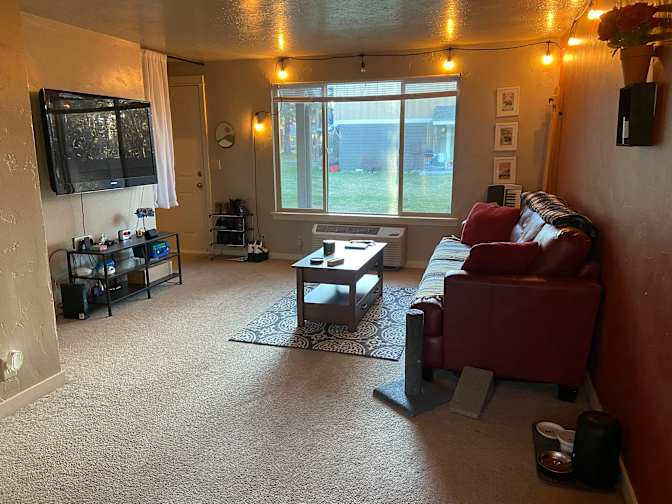 Erin's room
